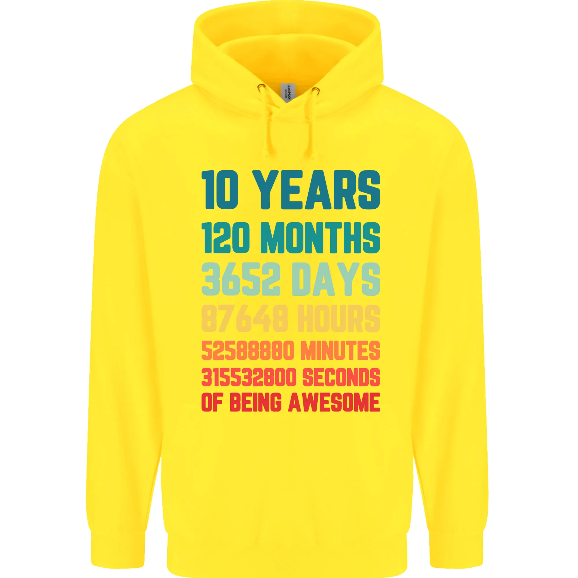 10th Birthday 10 Year Old Childrens Kids Hoodie