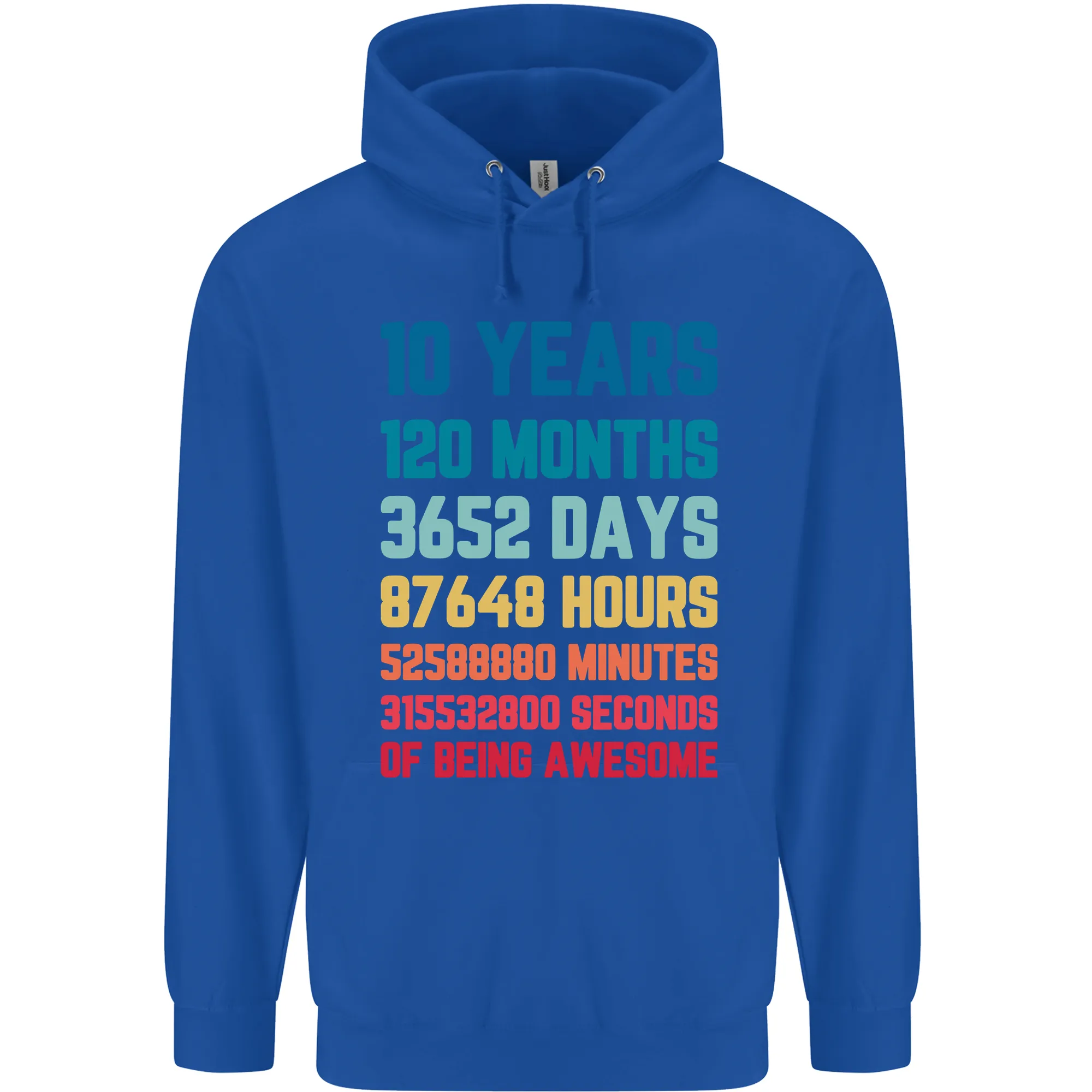 10th Birthday 10 Year Old Childrens Kids Hoodie