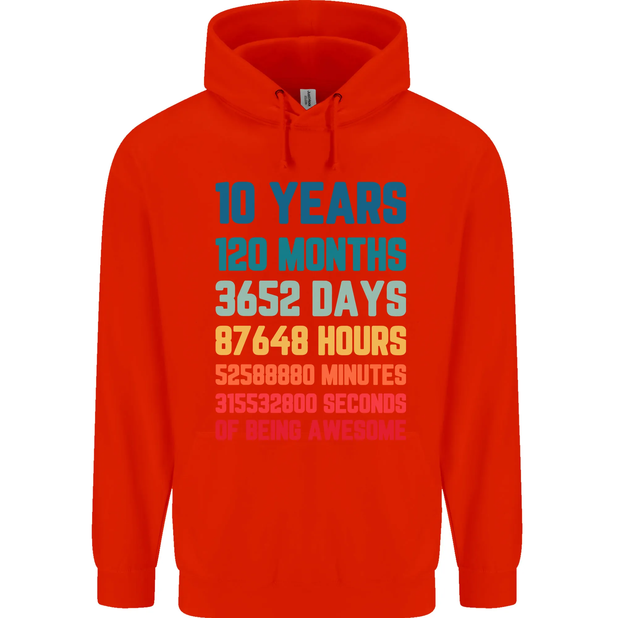 10th Birthday 10 Year Old Childrens Kids Hoodie