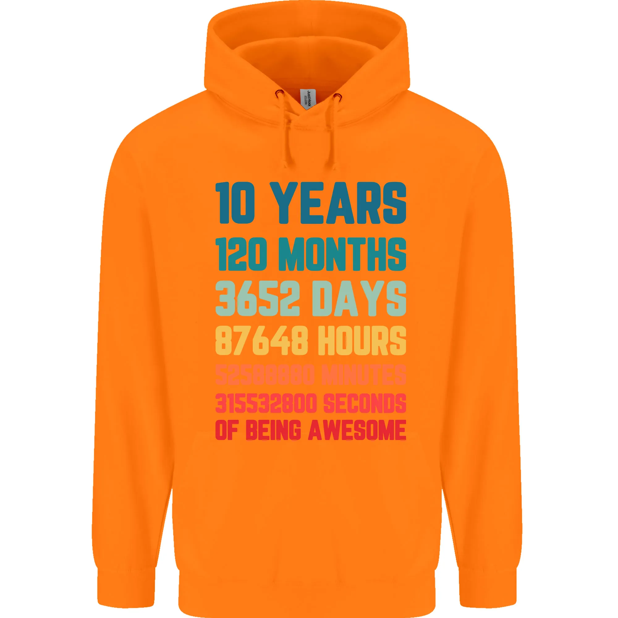 10th Birthday 10 Year Old Childrens Kids Hoodie