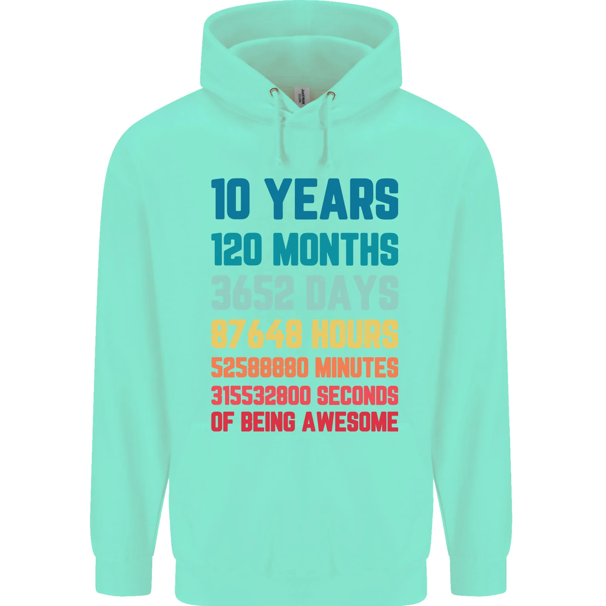 10th Birthday 10 Year Old Childrens Kids Hoodie