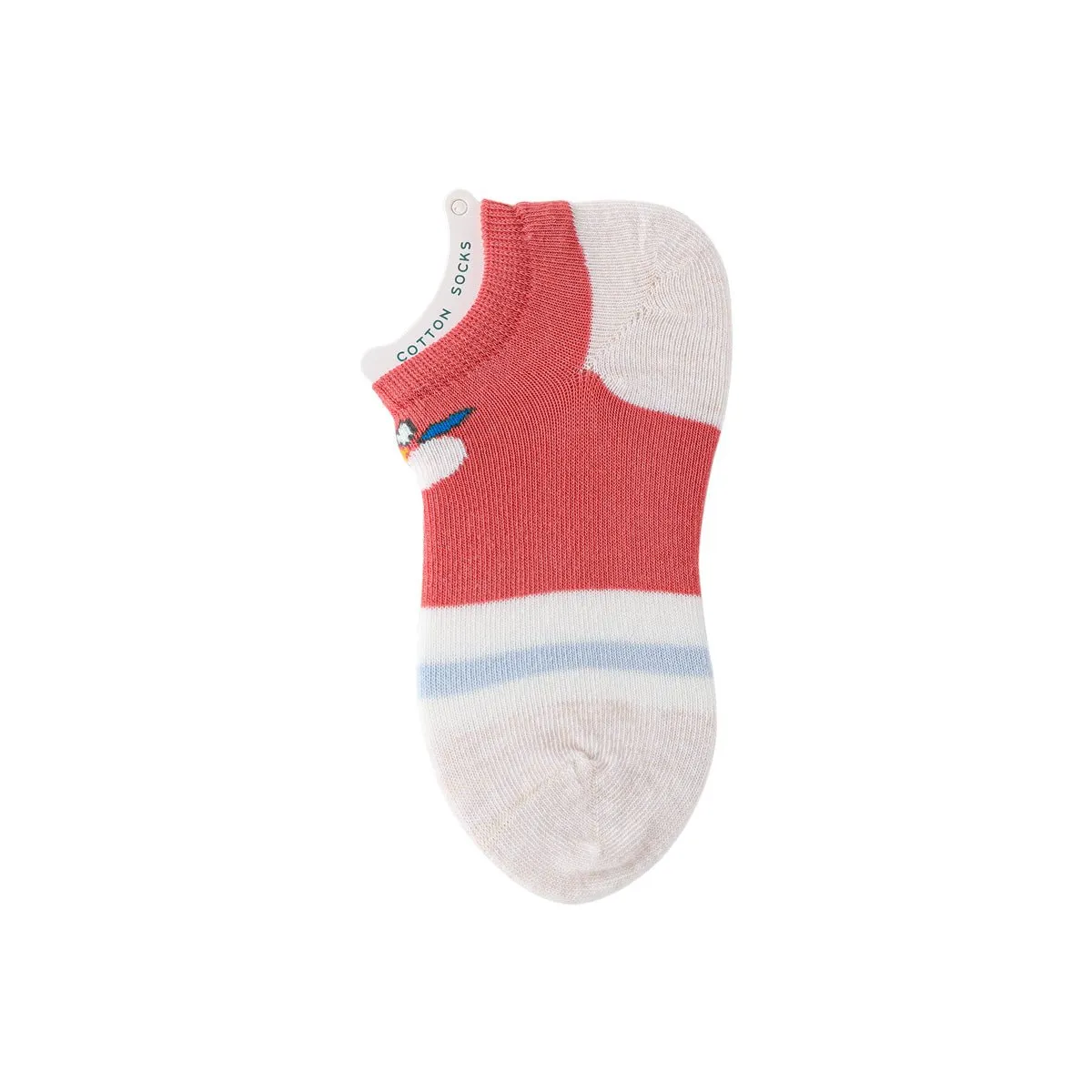 Above The Cloud Thin Mesh Breathable Girl 5pcs Ankle Socks Set