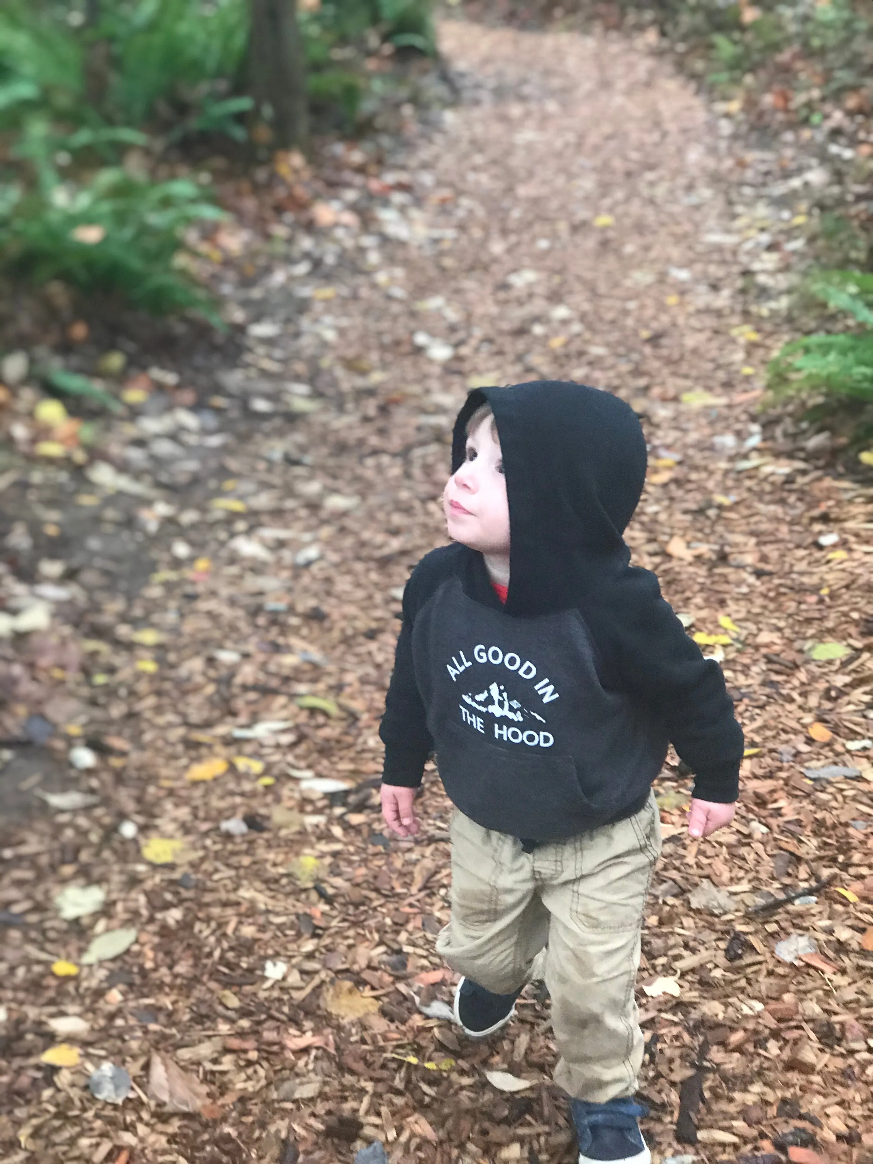All Good In The Hood Toddler Hoodie