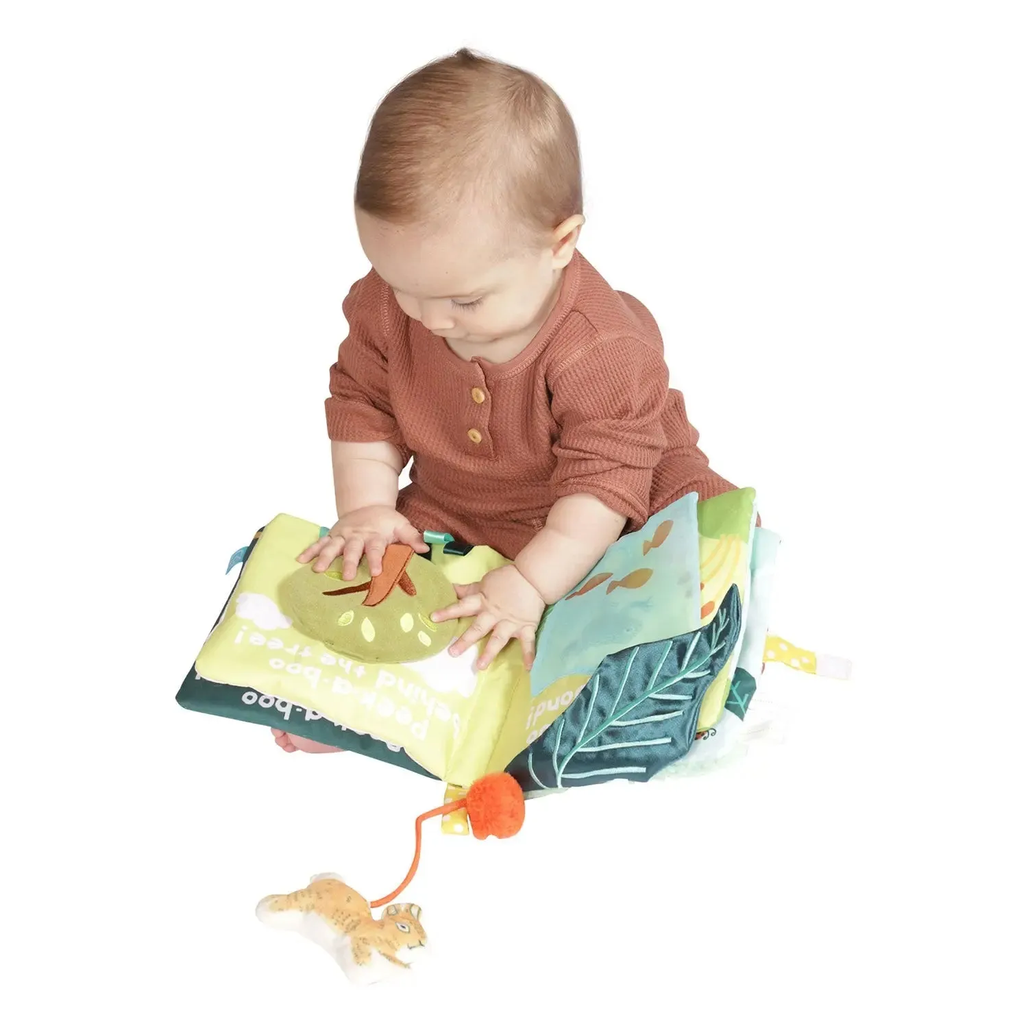 Fairy Tale Peek-A-Boo Bunny Soft Book