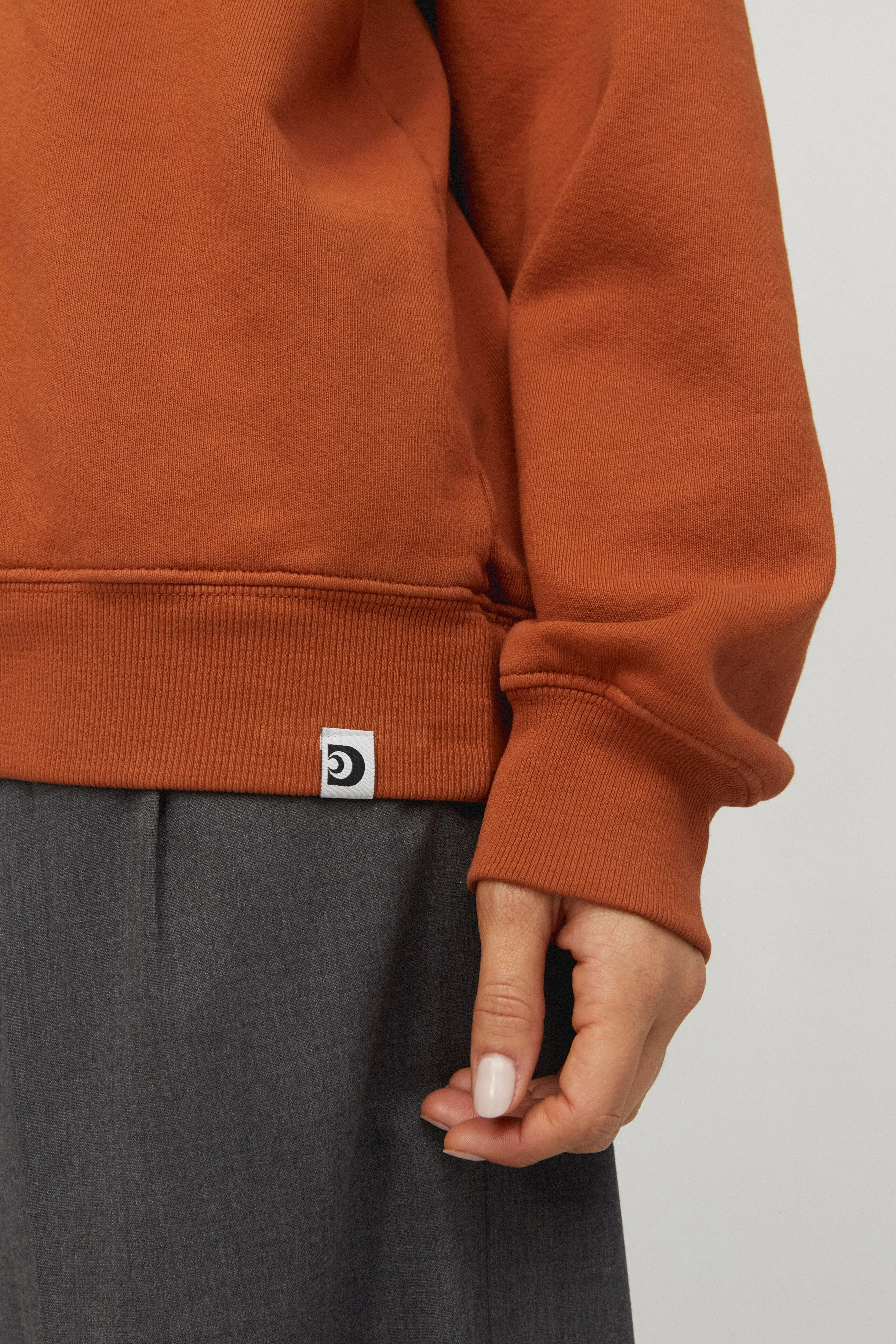 Solid Boyfriend Hoodie